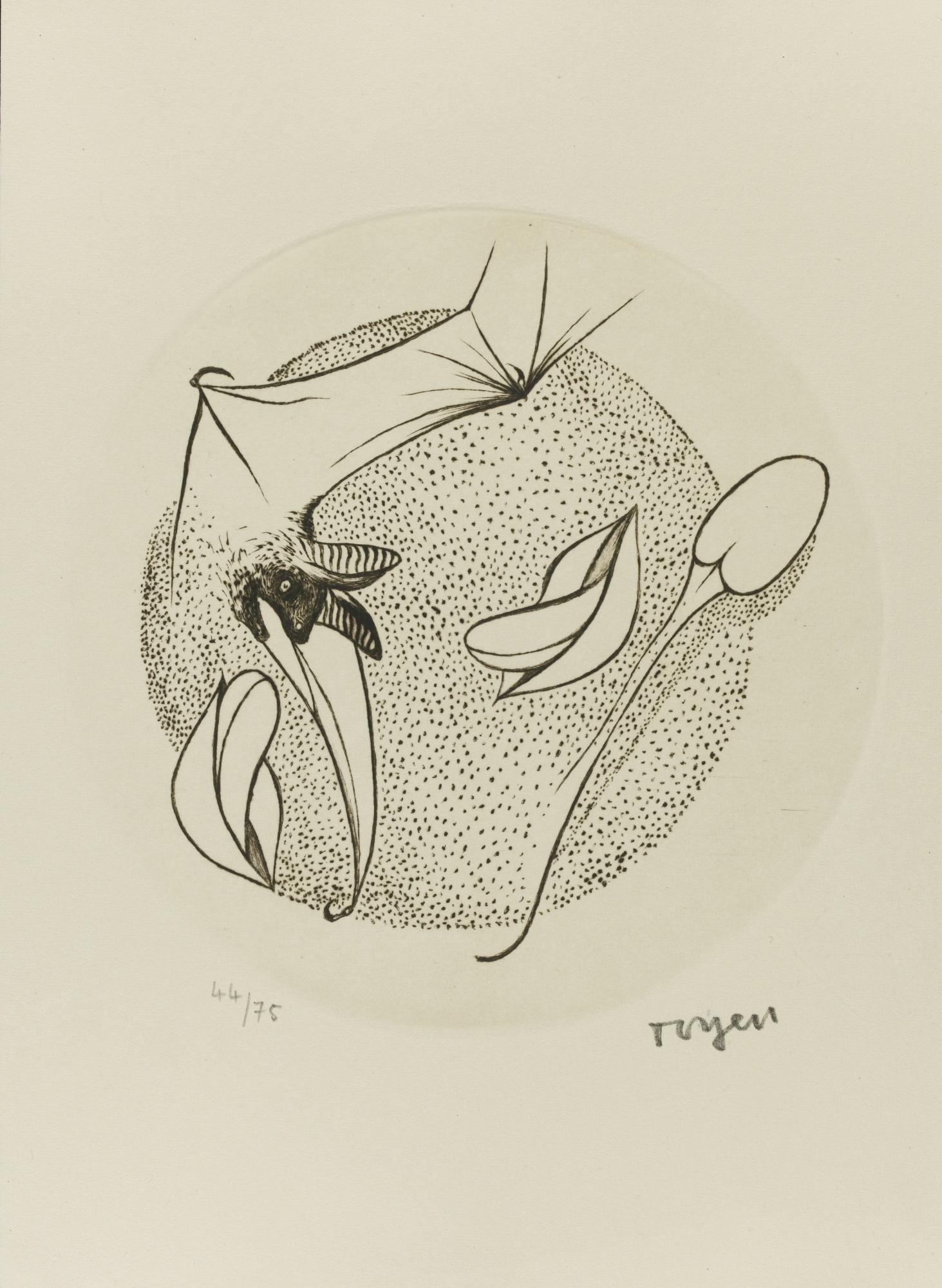 Annie Le Brun - French Tout Près, Les Nomades. Illustré Par Toyen. Paris: Éditions Maintenant, 1972