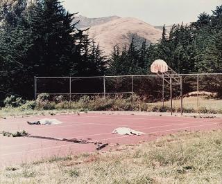 Annika Elisabeth von Hausswolff - \