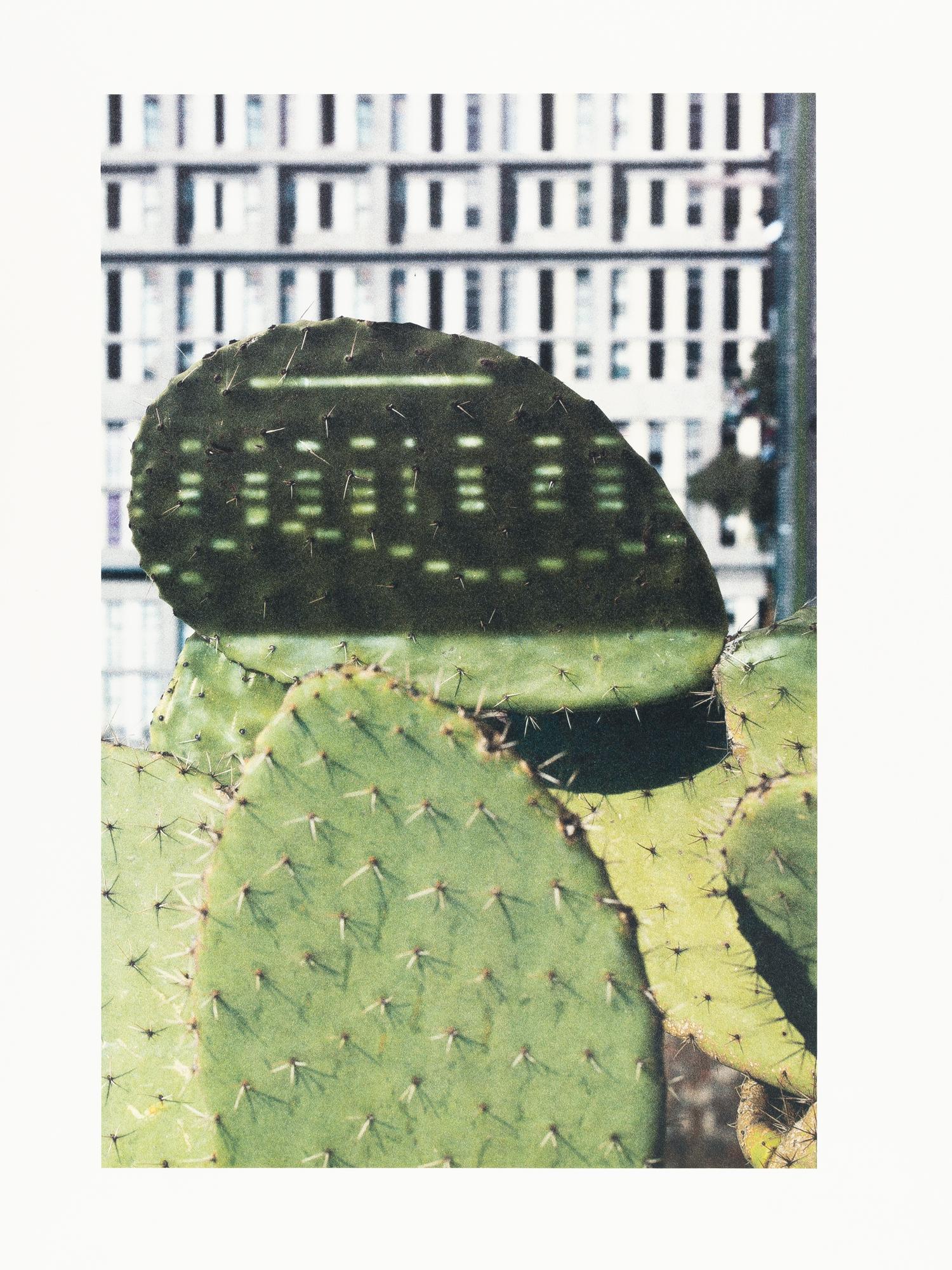 Anri Sala - Cactus Score