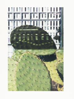 Anri Sala - Cactus Score