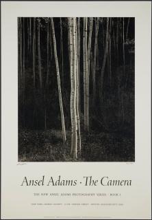 Ansel Adams - Aspens, Northern New Mexico