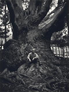 Ansel Adams - Edward Weston, Carmel Highlands, California