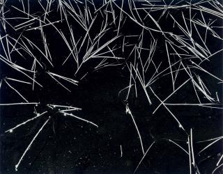 Ansel Adams - Grass and Pool, c. 1935