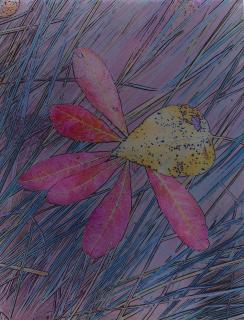 Ansel Adams - Leaves, Valley Meadow, Yosemite National Park, California (Dye-Transfer Experiment)