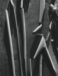 Ansel Adams - Madrone Bark, 1932