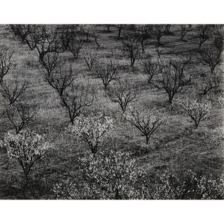 Ansel Adams - Portfolio Four: What Majestic Word, In Memory Of Russell Varian, 1963Portfolio With 15 Signed Silver Prints, Each Flush-Mounted On Card, With Title Pages. Ed. 128/ 260.