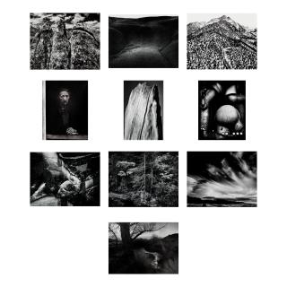 Ansel Adams - Portfolio V (Ten Photographs) 10