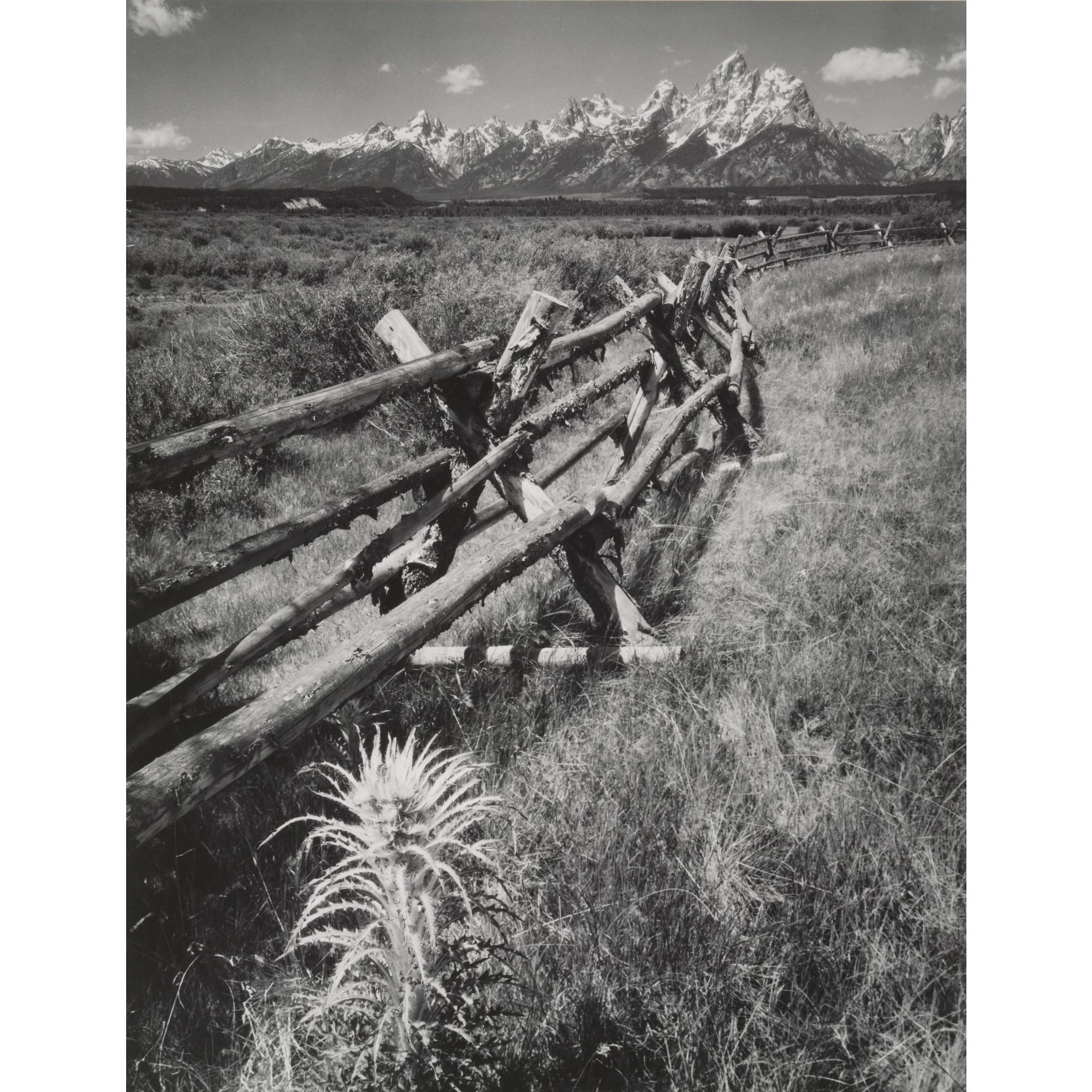 Ansel Adams - Rail Fence - Teton