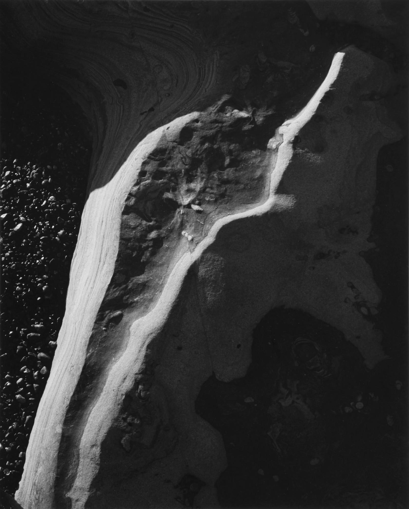 Ansel Adams - \'Rock Vein, Point Lobos\'