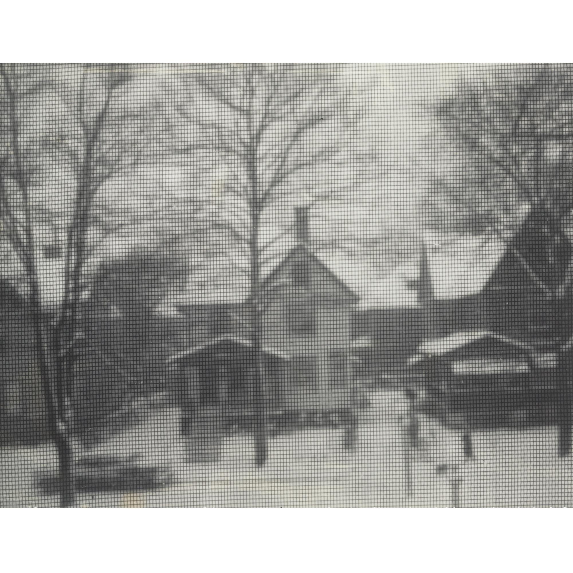 Ansel Adams - Rundel Park Through Window Screen, Rochester, New York