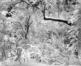 Ansel Adams - Selected images from Portfolio VI