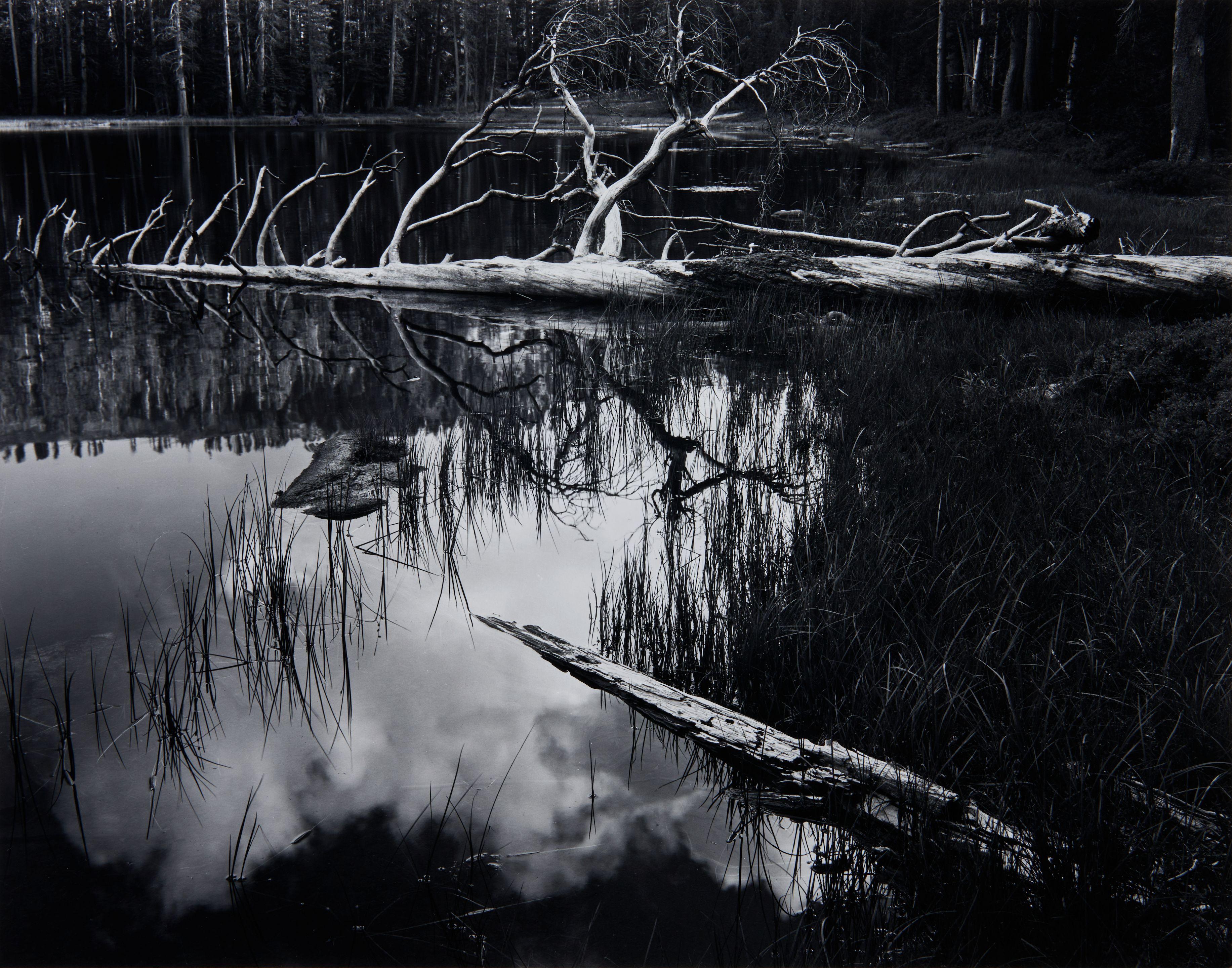 Ansel Adams - Siesta Lake, Yosemite National Park, California