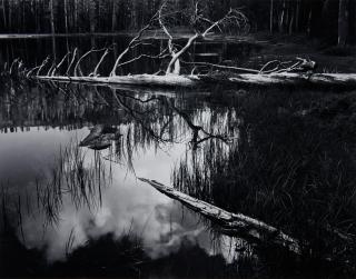 Ansel Adams - Siesta Lake, Yosemite National Park, California