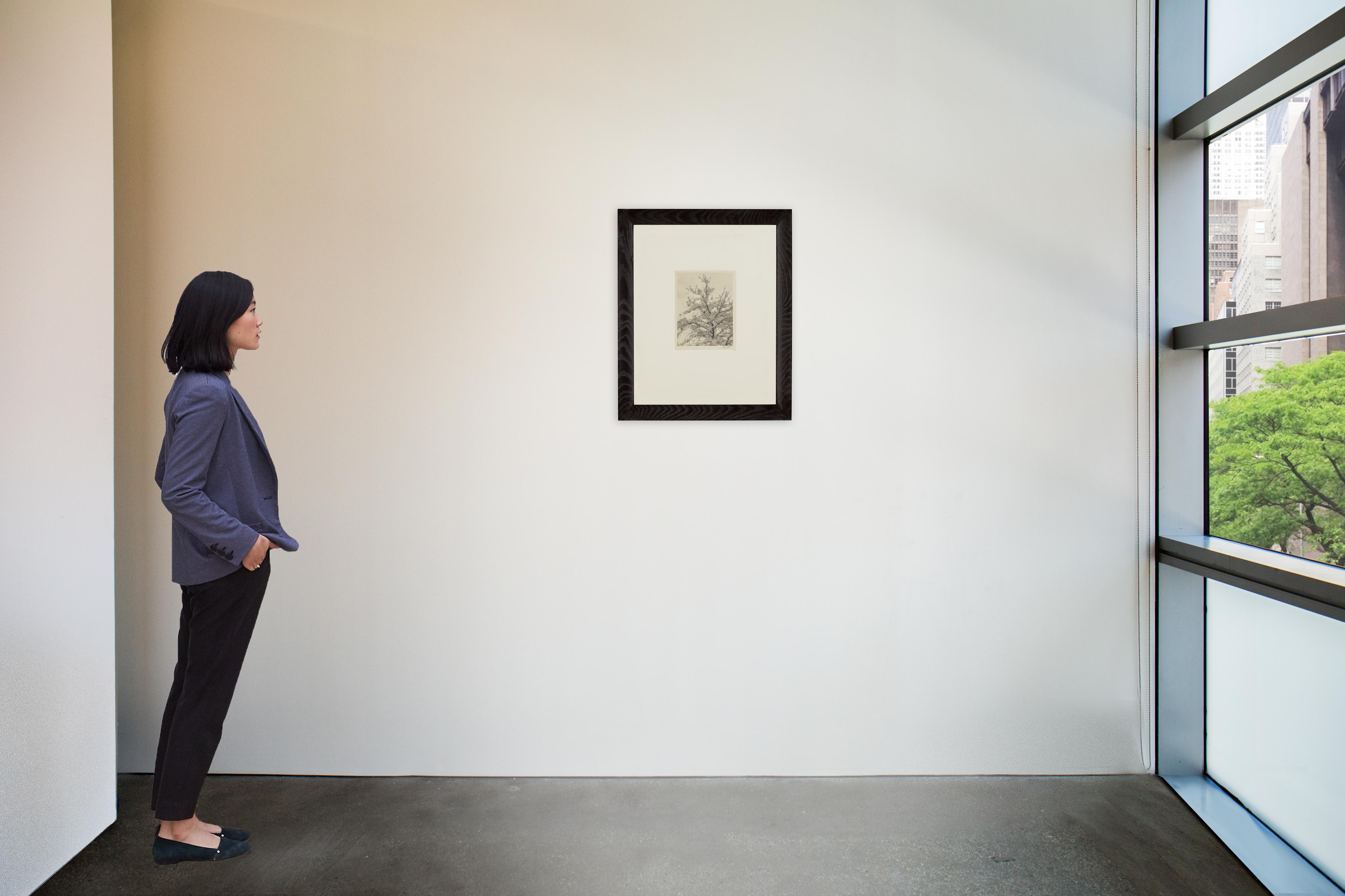 Ansel Adams - Snow-Covered Tree