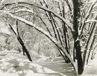 Ansel Adams - Snowy Road In Yosemite, C.1948