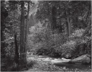 Ansel Adams - Tenaya Creek, Spring Rain, 1948