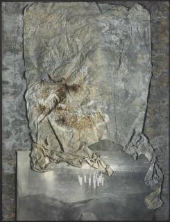 Anselm Kiefer - Brennstäbe ( série  Nachtschattengewächse)