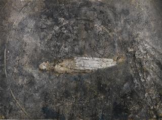 Anselm Kiefer - Dat Rosa Mel Apibus