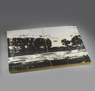 Anselm Kiefer - Der Rhein