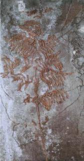 Anselm Kiefer - Johannisnacht