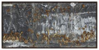 Anselm Kiefer - Multatuli
