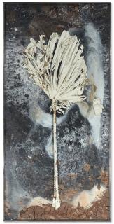 Anselm Kiefer - Palmostern