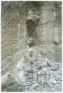 Anselm Kiefer - Sternenfall