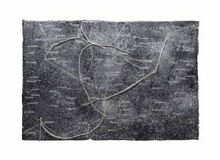 Anselm Kiefer - The Secret Life Of Plants: Star Painting