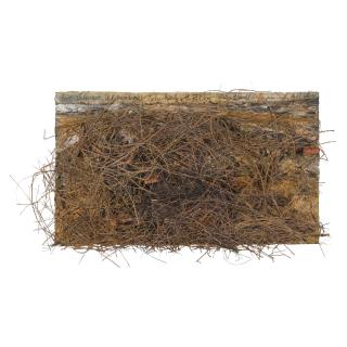 Anselm Kiefer - Velimir Chlebnikow Schicksale Der Völker