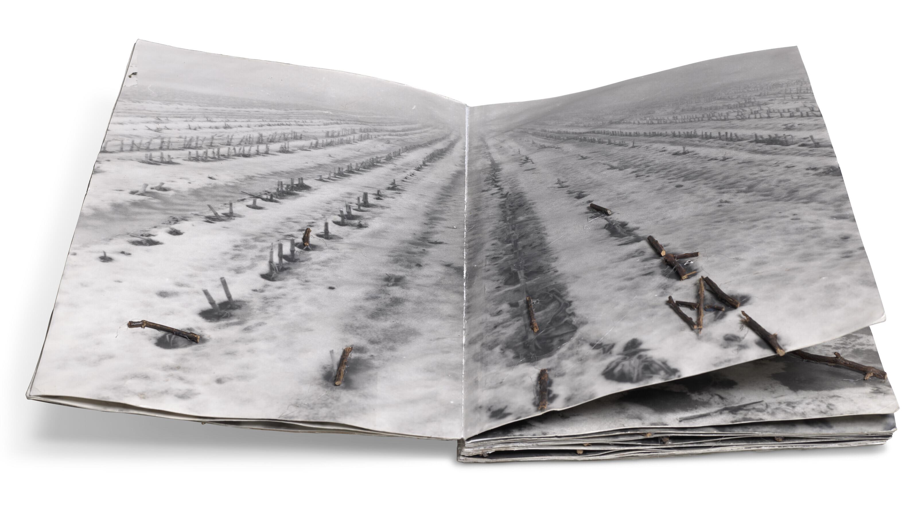 Anselm Kiefer - Was sagte Odin zum Toten Balder