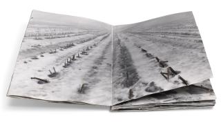 Anselm Kiefer - Was sagte Odin zum Toten Balder