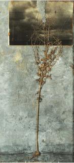 Anselm Kiefer - Yggdrasil