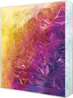 Anselm Reyle - Untitled