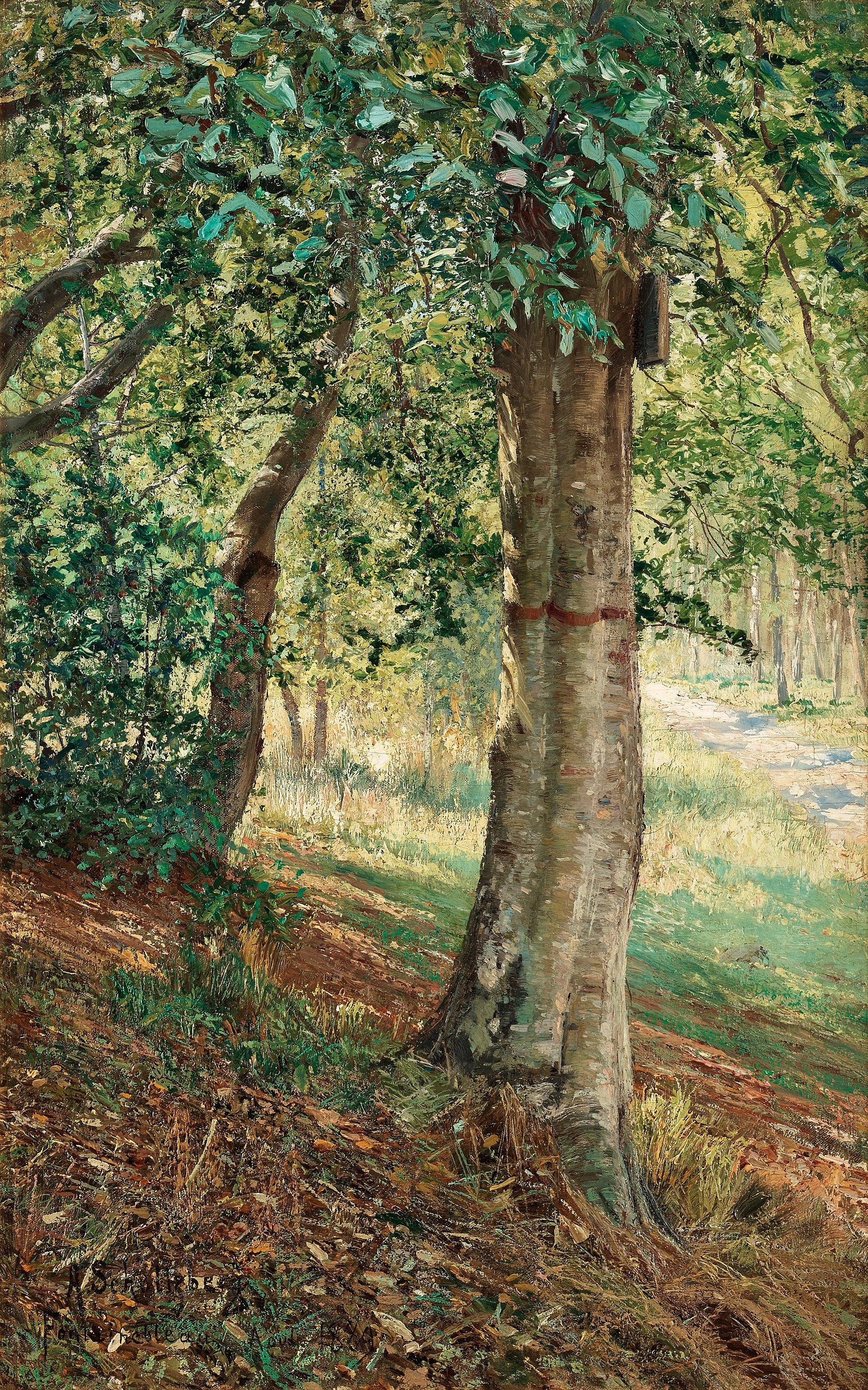 Anshelm Schultzberg - Fontainebleau forest in summer light