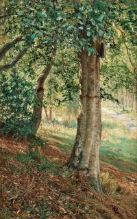 Anshelm Schultzberg - Fontainebleau forest in summer light