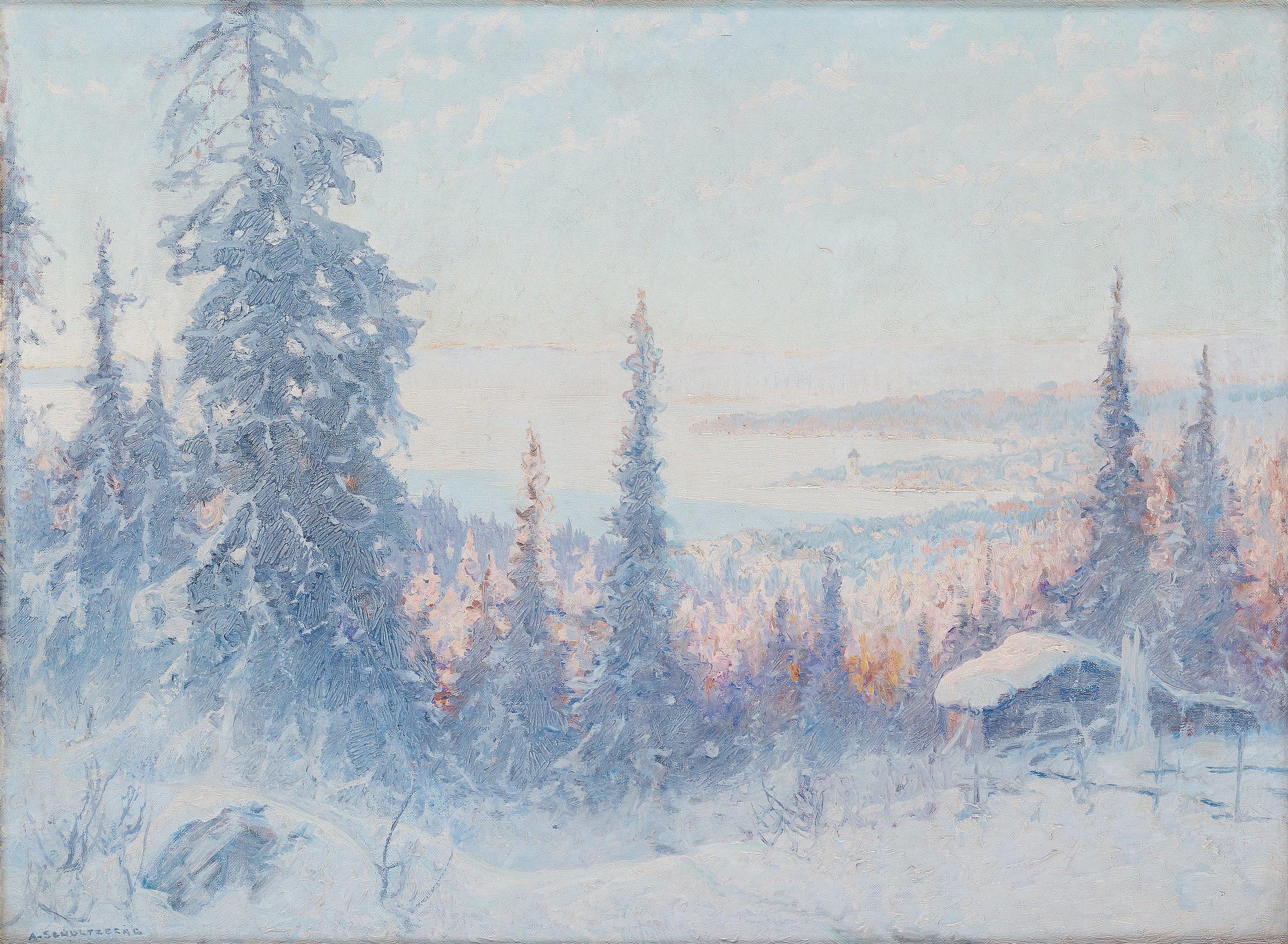 Anshelm Schultzberg - Winter landscape