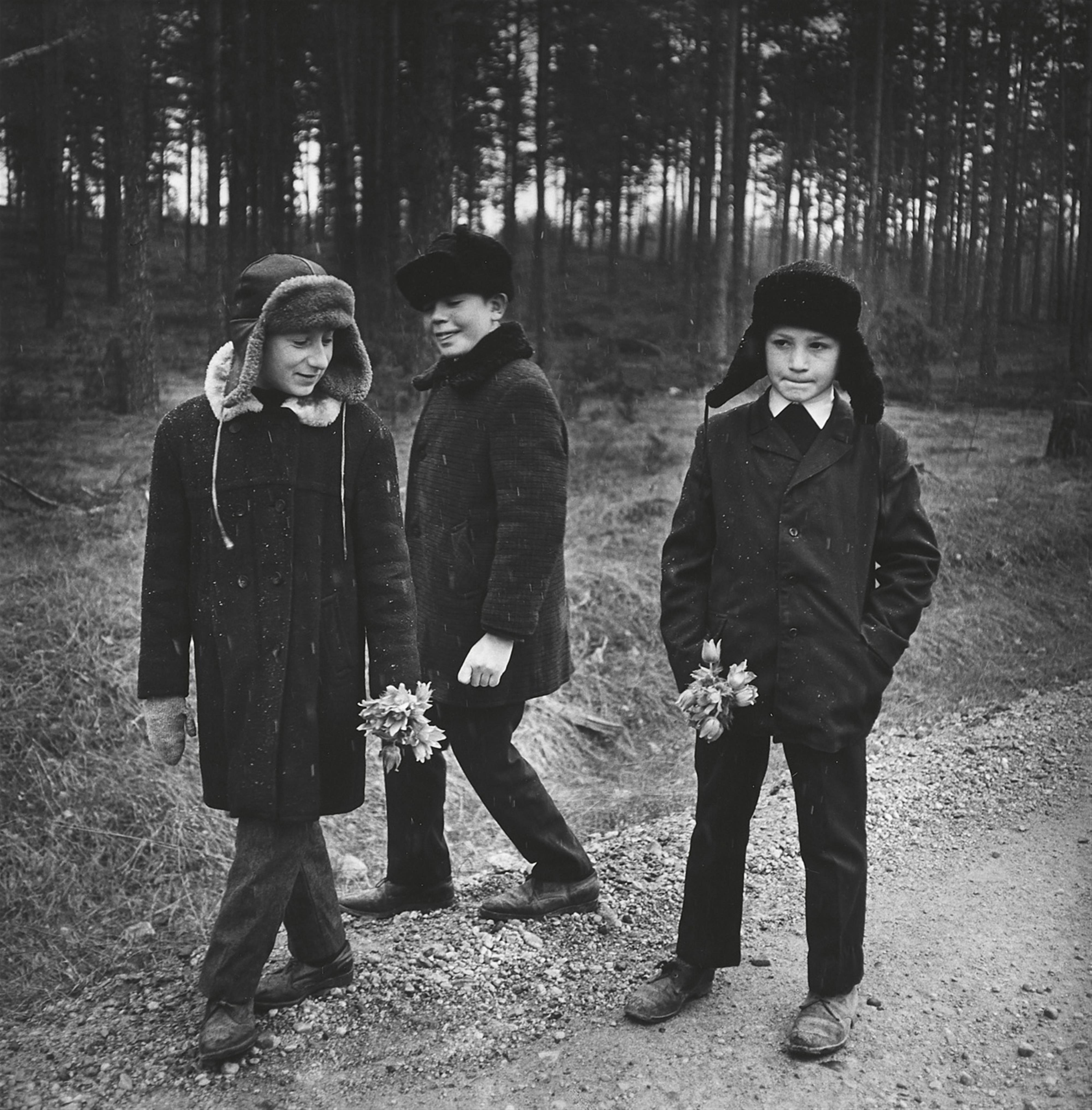 Antanas Sutkus - Die ersten Blumen des Frühlings, Musteikiai