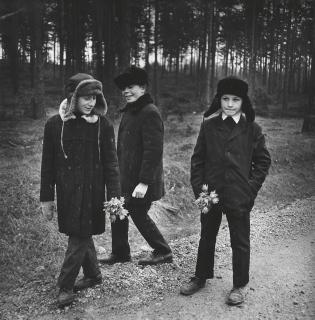 Antanas Sutkus - Die ersten Blumen des Frühlings, Musteikiai