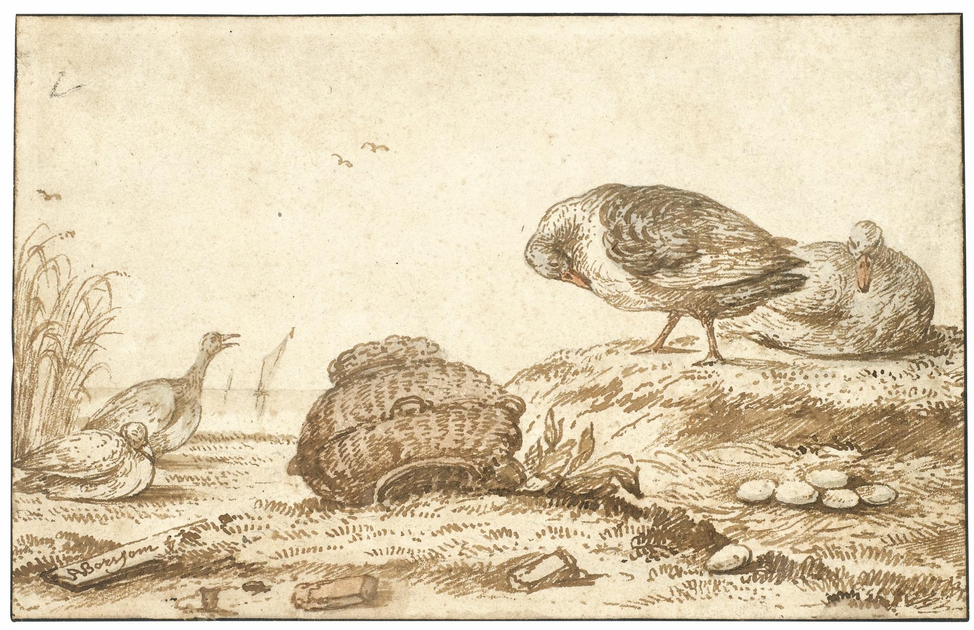 Anthonie Van Borssum - Four Ducks By A Nest