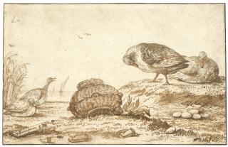 Anthonie Van Borssum - Four Ducks By A Nest