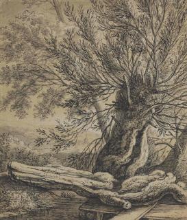 Anthonie Waterloo - A Footbridge Over A Stream, With A Pollard Willow