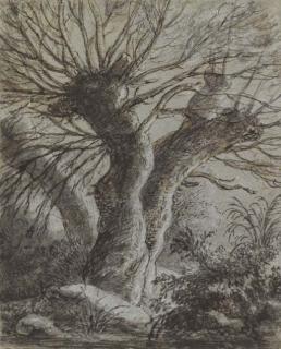 Anthonie Waterloo - Trois saules au bord d\'une rivière