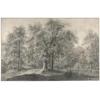 Anthonie Waterloo - Wooded Landscape With A Road And Pond