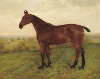 Anthony De Bree - A bay hunter in a landscape