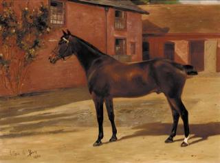 Anthony de Bree - A bay hunter in a stable yard