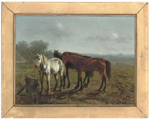 Anthony de Bree - In the paddock