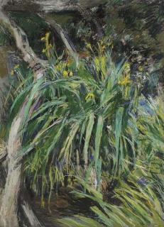 Anthony Eyton, R.A. - Spring Garden I