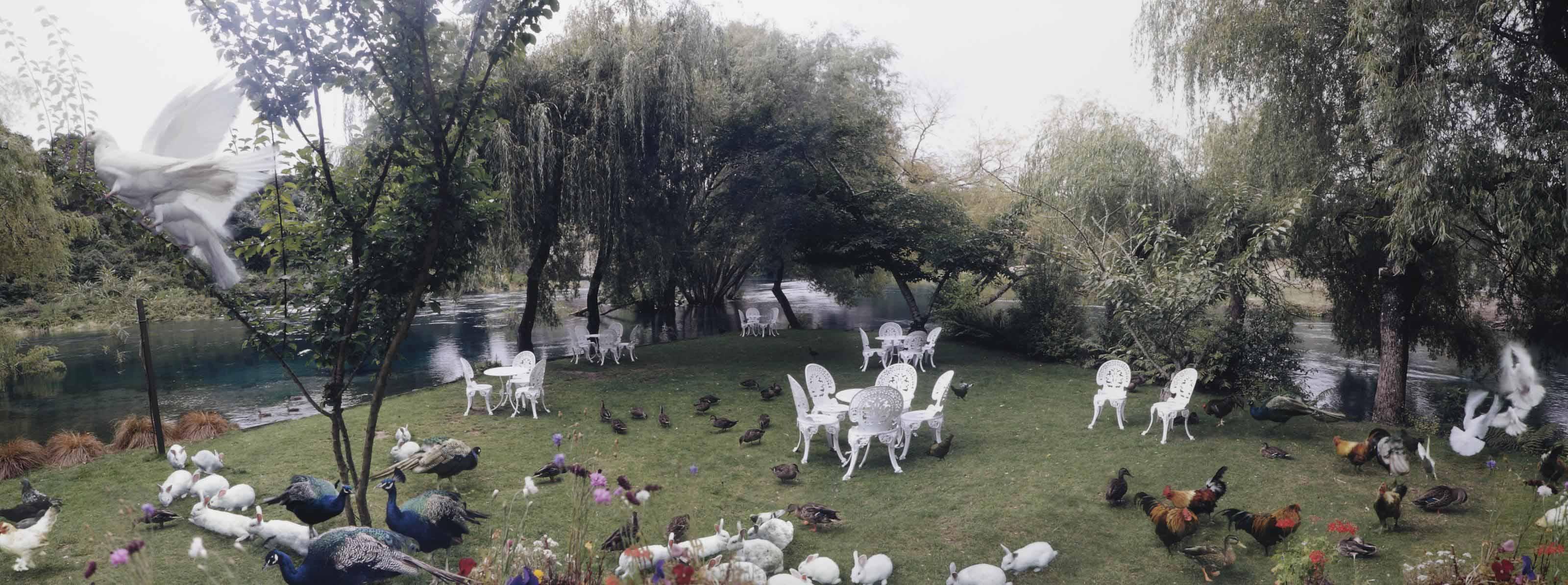 Anthony Goicolea - Cherry Island