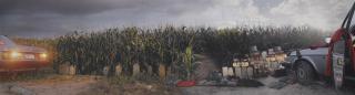 Anthony Goicolea - Cornfield (2002)