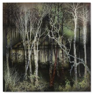 Anthony Goicolea - Hot House